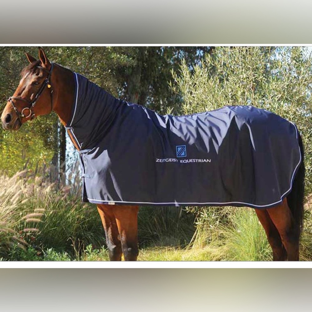 Equitex Custom Horse Show Rain Sheet, Grey with Black & Purple, New